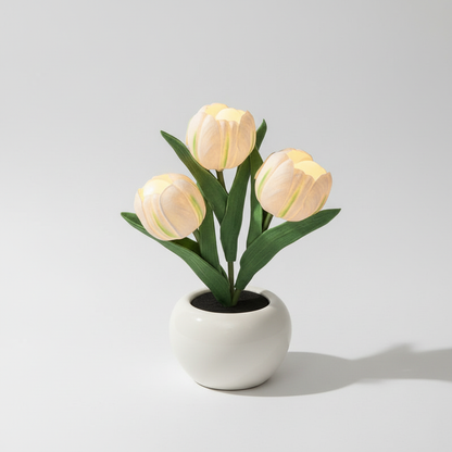 Tischdekoration Mit USB Stromversorgung - MoonPetal